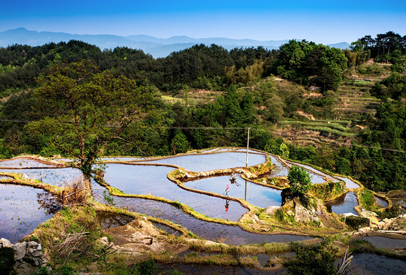 湖北松建建設(shè)集團(tuán)有限公司